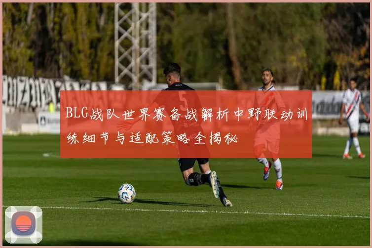 BLG战队世界赛备战解析中野联动训练细节与适配策略全揭秘